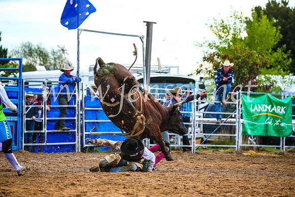 BraidwoodRodeo2017_2736