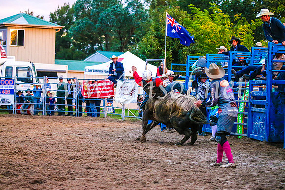 BraidwoodRodeo2017_3841