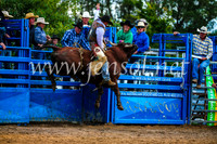 BraidwoodRodeo2017_2716