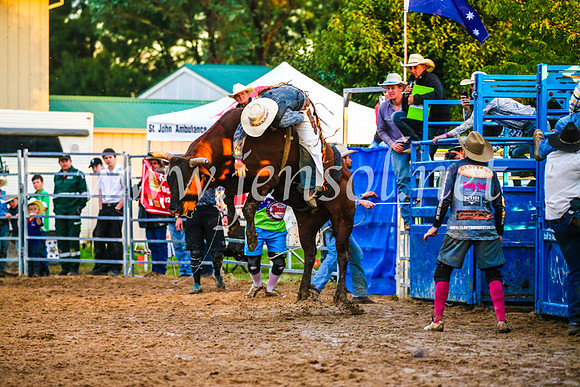 BraidwoodRodeo2017_3799