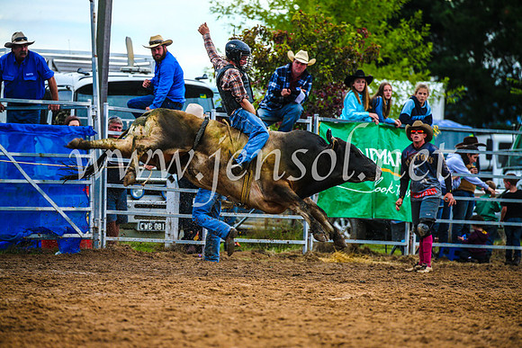 BraidwoodRodeo2017_2855