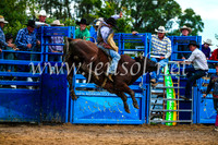BraidwoodRodeo2017_2730