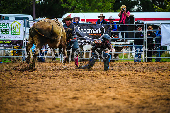 BraidwoodRodeo2017_2893