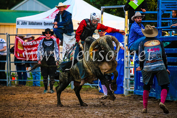 BraidwoodRodeo2017_3743