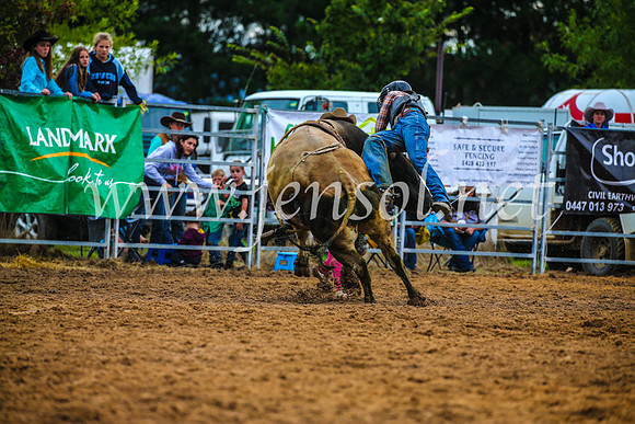 BraidwoodRodeo2017_2880