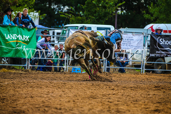 BraidwoodRodeo2017_2875