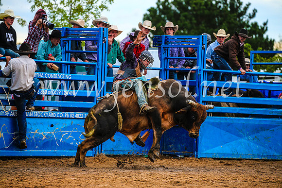 BraidwoodRodeo2017_2837