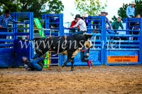 BraidwoodRodeo2017_2709