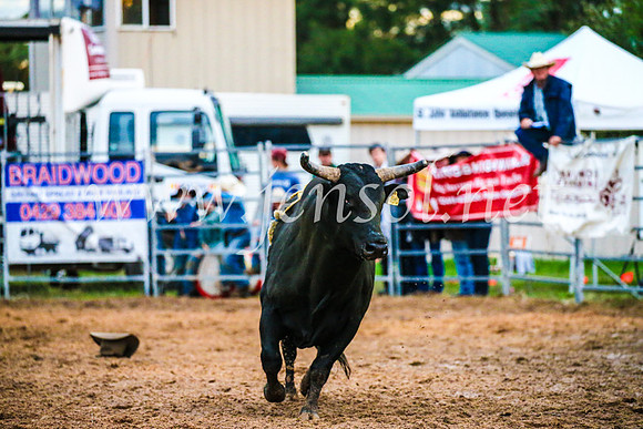 BraidwoodRodeo2017_3834