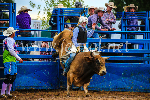 BraidwoodRodeo2017_2791