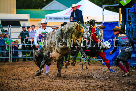 BraidwoodRodeo2017_3783