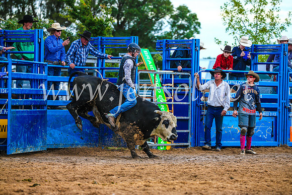 BraidwoodRodeo2017_2699