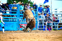BraidwoodRodeo2017_1782