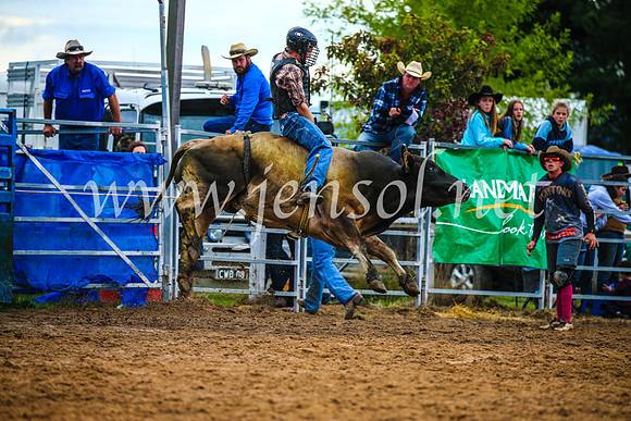 BraidwoodRodeo2017_2842