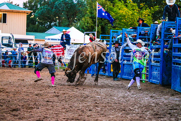 BraidwoodRodeo2017_3854