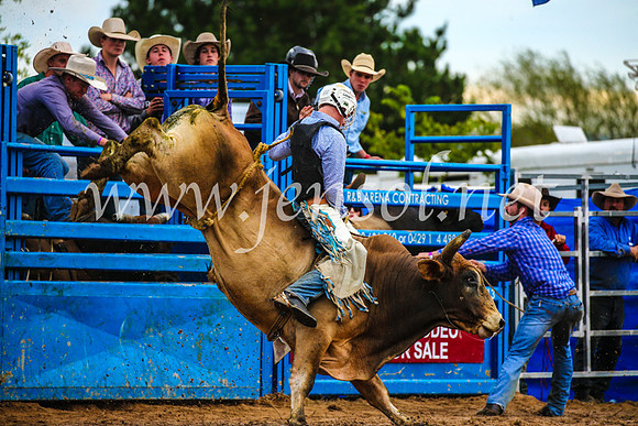 BraidwoodRodeo2017_2802