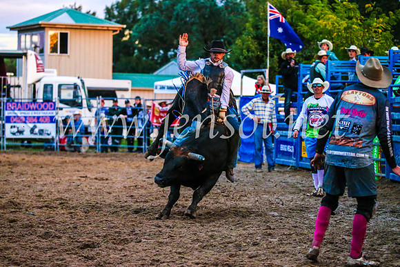 BraidwoodRodeo2017_3874