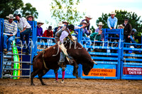 BraidwoodRodeo2017_2743
