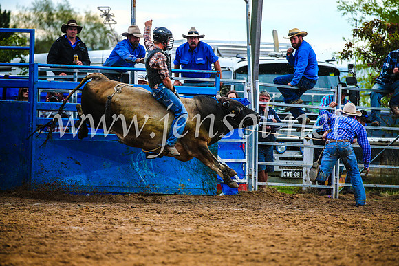 BraidwoodRodeo2017_2845