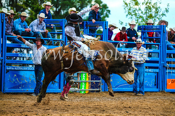 BraidwoodRodeo2017_2760