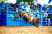 BraidwoodRodeo2017_1777