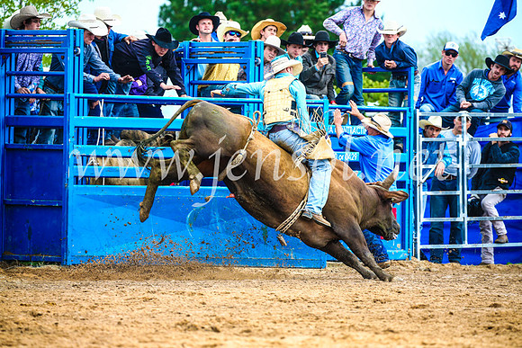 BraidwoodRodeo2017_1777