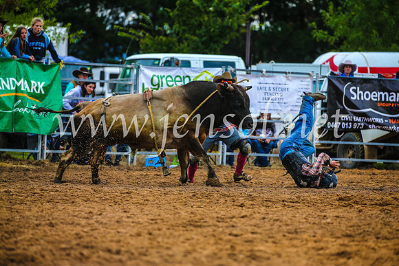 BraidwoodRodeo2017_2877