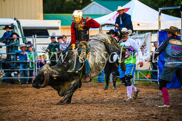 BraidwoodRodeo2017_3774