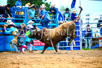 BraidwoodRodeo2017_1791