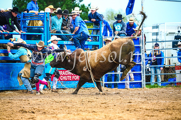 BraidwoodRodeo2017_1791