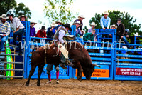 BraidwoodRodeo2017_2741