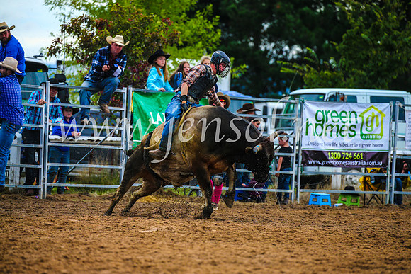 BraidwoodRodeo2017_2858