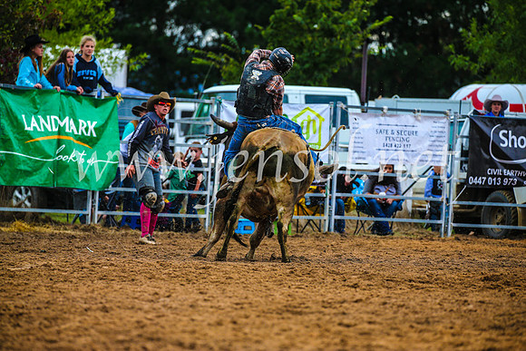 BraidwoodRodeo2017_2866