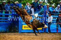 BraidwoodRodeo2017_2751