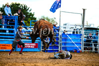 BraidwoodRodeo2017_2735