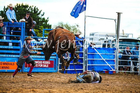BraidwoodRodeo2017_2735