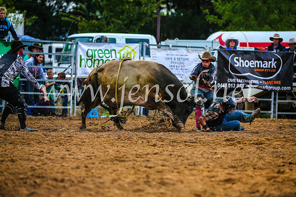 BraidwoodRodeo2017_2898