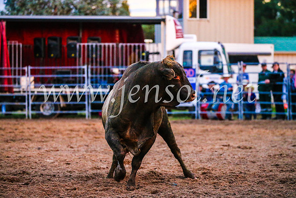 BraidwoodRodeo2017_3866