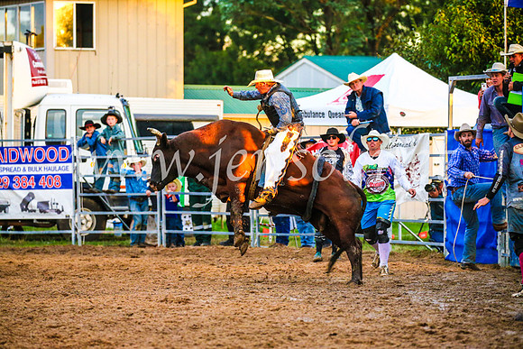 BraidwoodRodeo2017_3813