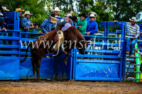 BraidwoodRodeo2017_2715