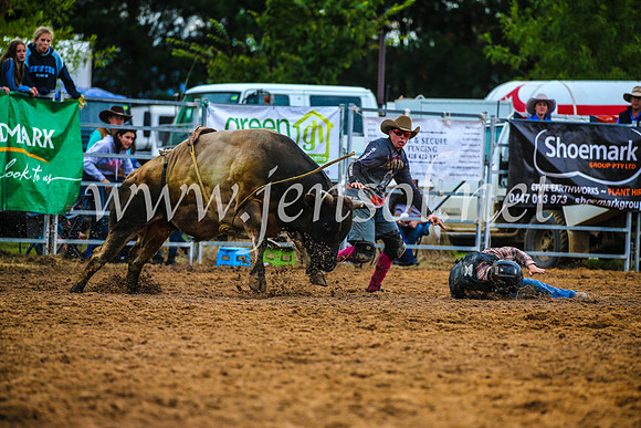BraidwoodRodeo2017_2879