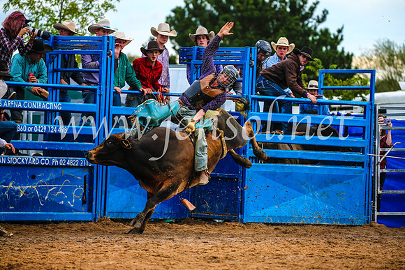 BraidwoodRodeo2017_2820