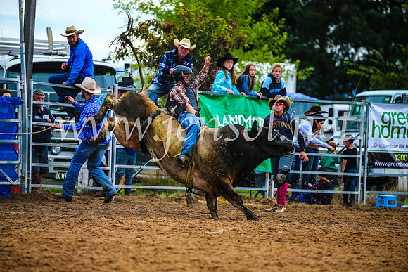 BraidwoodRodeo2017_2857