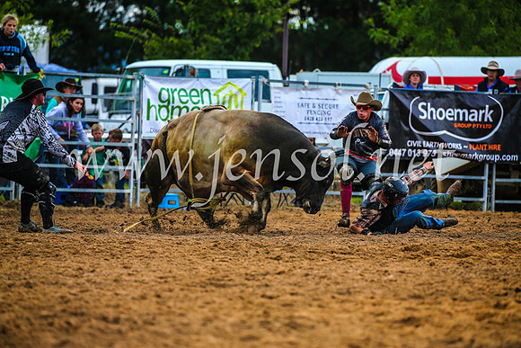 BraidwoodRodeo2017_2906