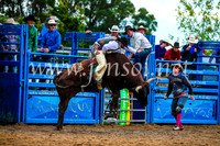 BraidwoodRodeo2017_2723