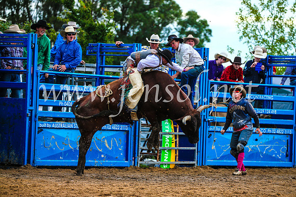 BraidwoodRodeo2017_2723