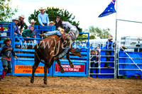 BraidwoodRodeo2017_2742