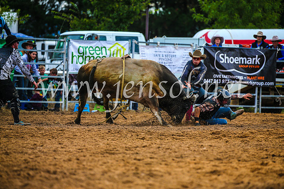 BraidwoodRodeo2017_2904