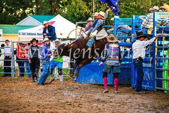 BraidwoodRodeo2017_3787