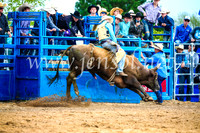 BraidwoodRodeo2017_1778